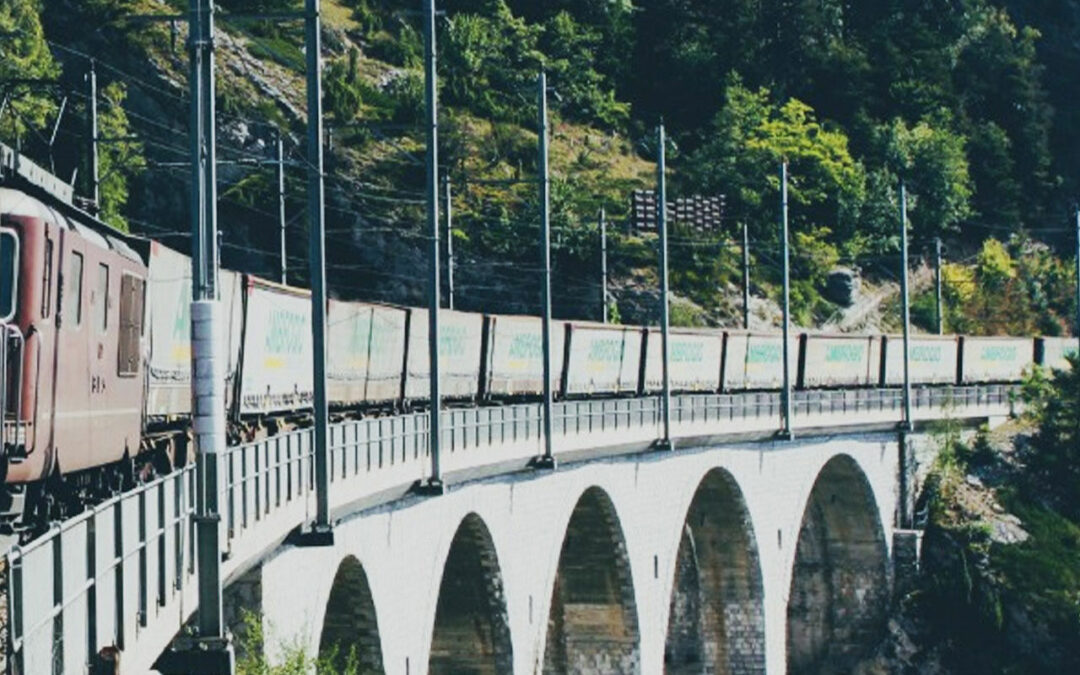 Partnership con Ambrogio e nuovo traffico Domegliara-Neuss